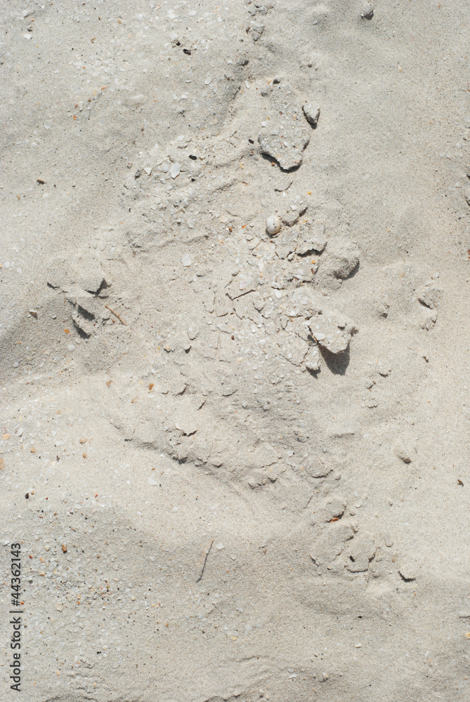 Rough sand Rough sand