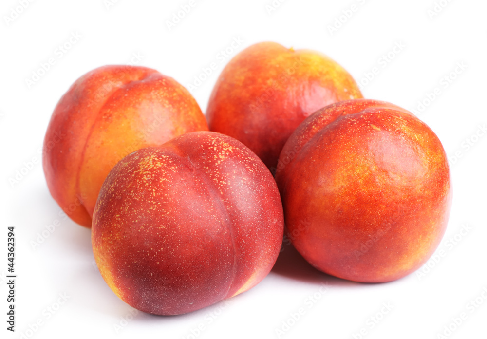 Nectarines isolated