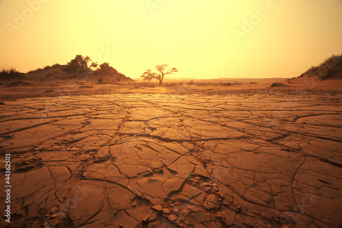 Slika na platnu Namib