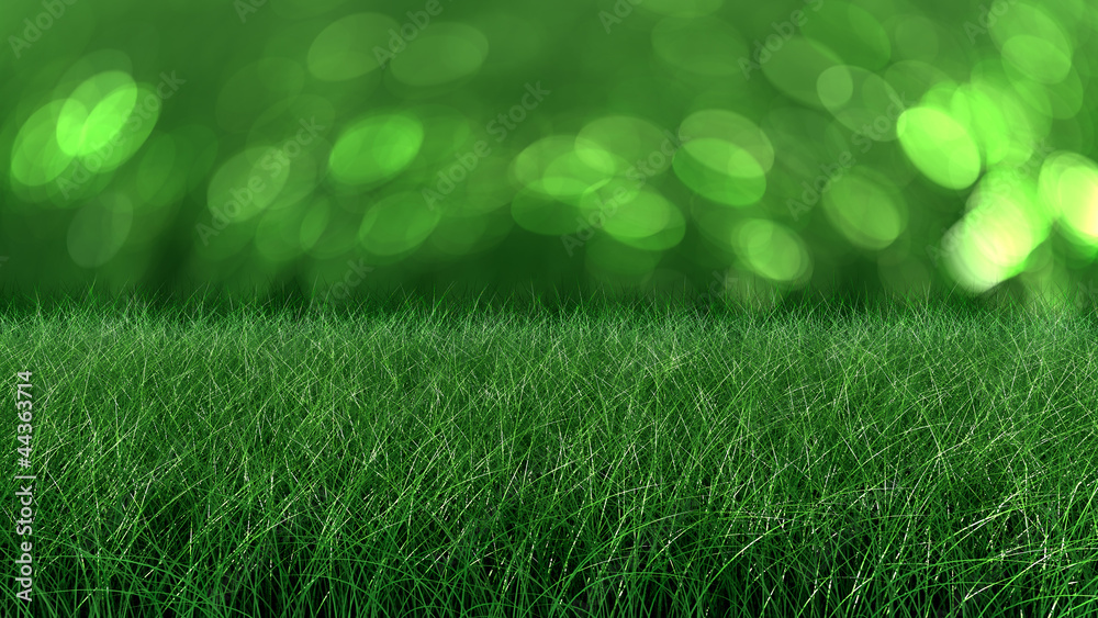 Close up backdrop of fresh thick grass