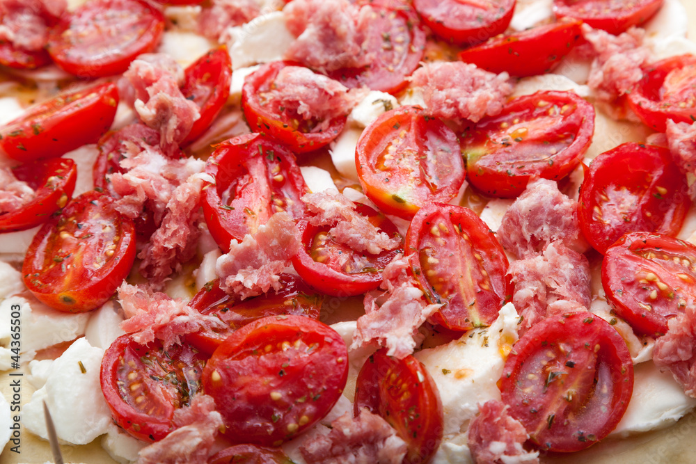 Condiments for Pizza: Mozzarella, Tomato and Sausages Condiments for Pizza: Mozzarella, Tomato and Sausages