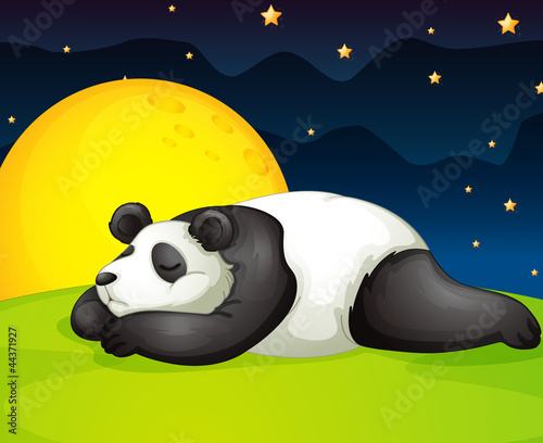 panda resting in night