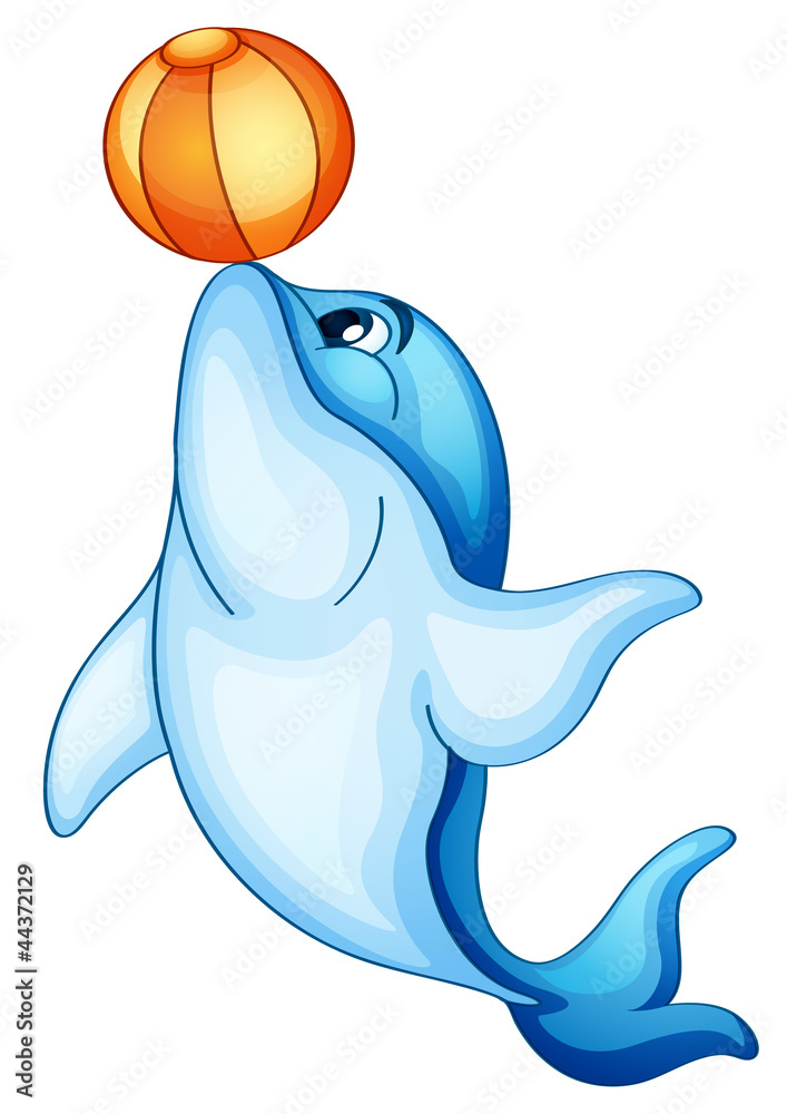 Dolphin Dolphin
