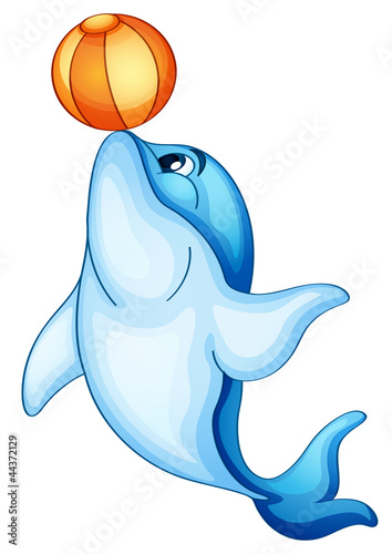 Dolphin
