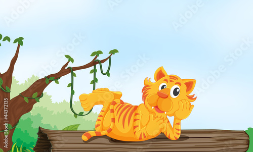 tiger resting on wood