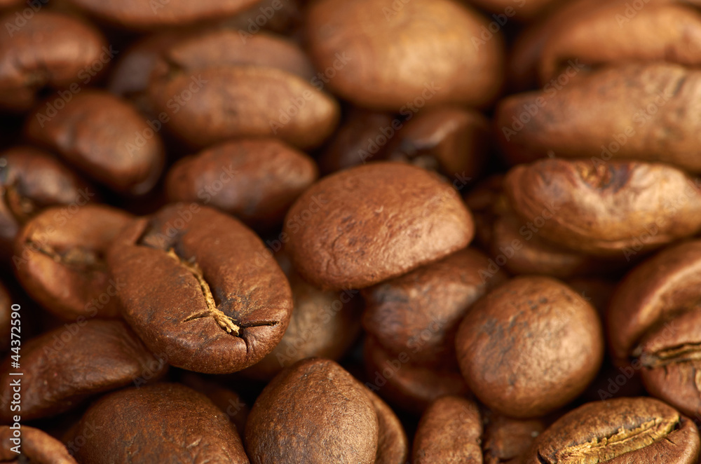 fress coffee beans