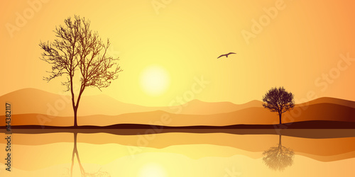 Landscape with Reflection
