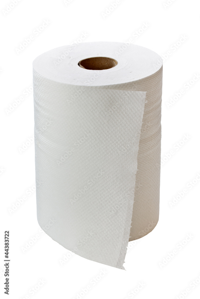 Paper towel Paper towel