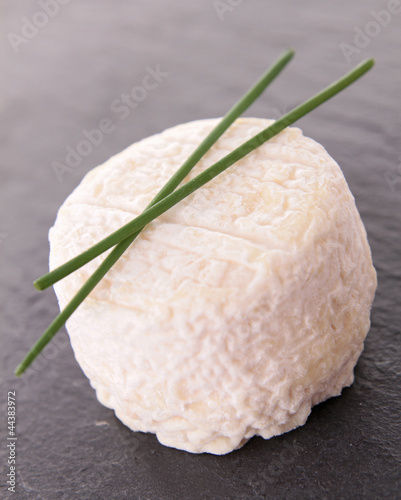 cheese on wooden background