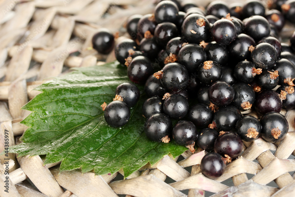 Fresh black currant on wicker mat close-up Fresh black currant on wicker mat close-up