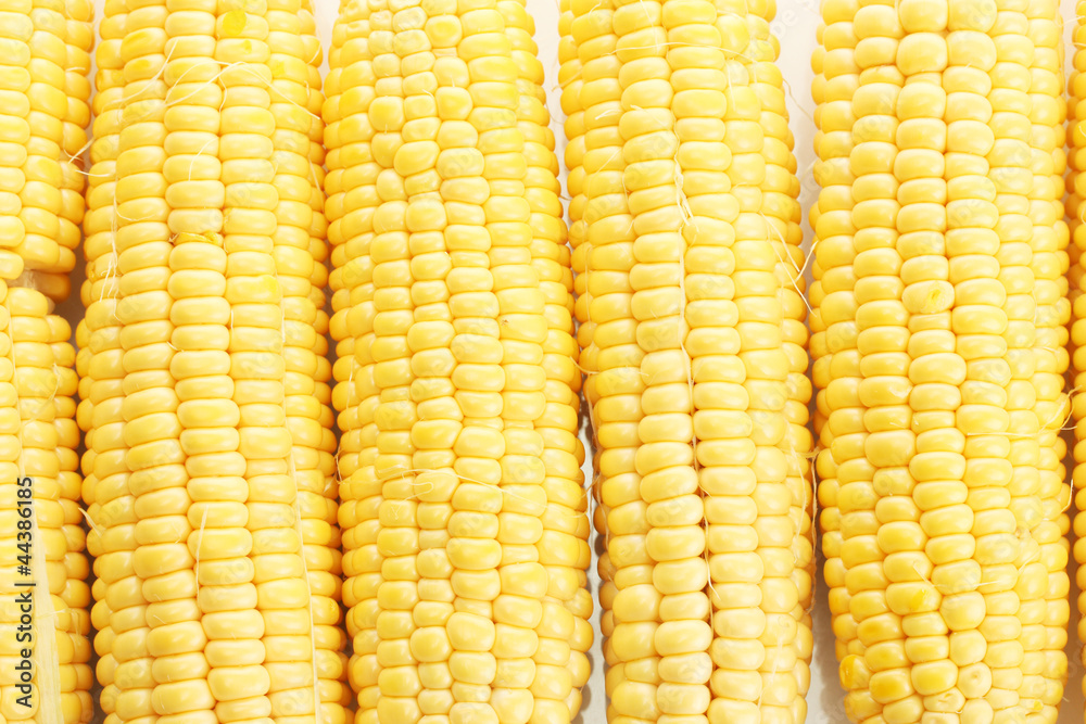 fresh corn, close up fresh corn, close up