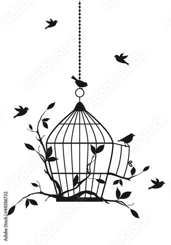 free birds with open birdcage, vector
