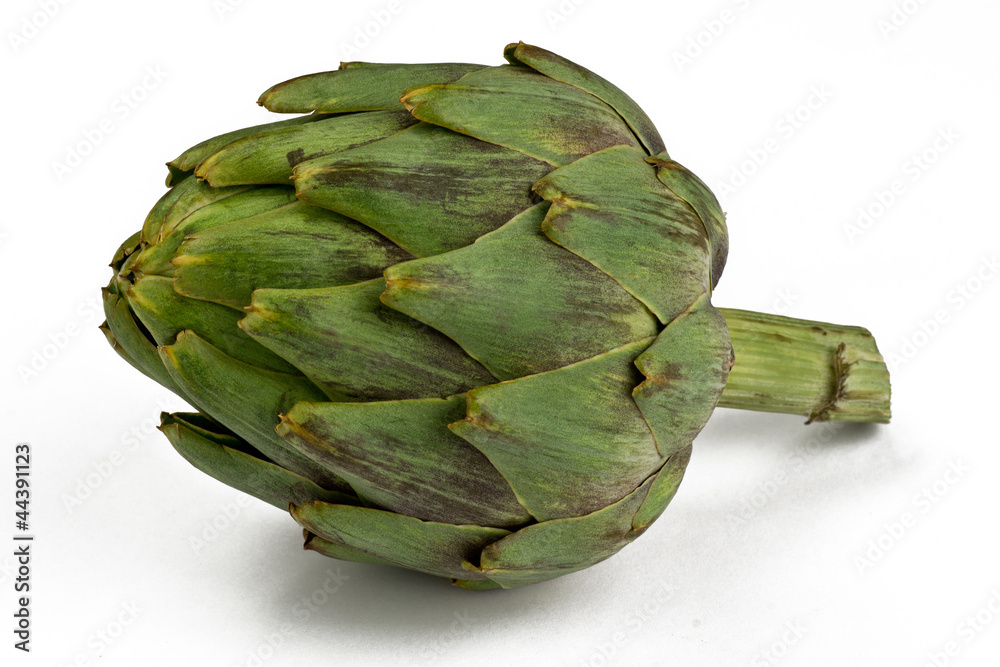 Fototapeta premium Karczoch