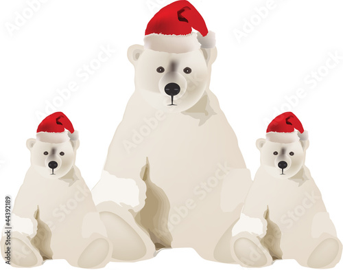 polar bear with hat