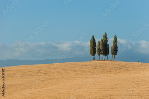 typical tuscan landscape