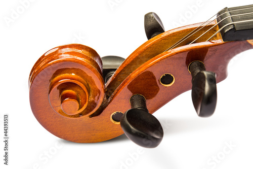 Scroll and pegbox of violin photo
