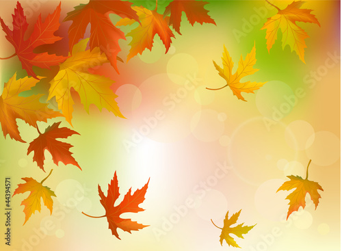 abstract autumn background