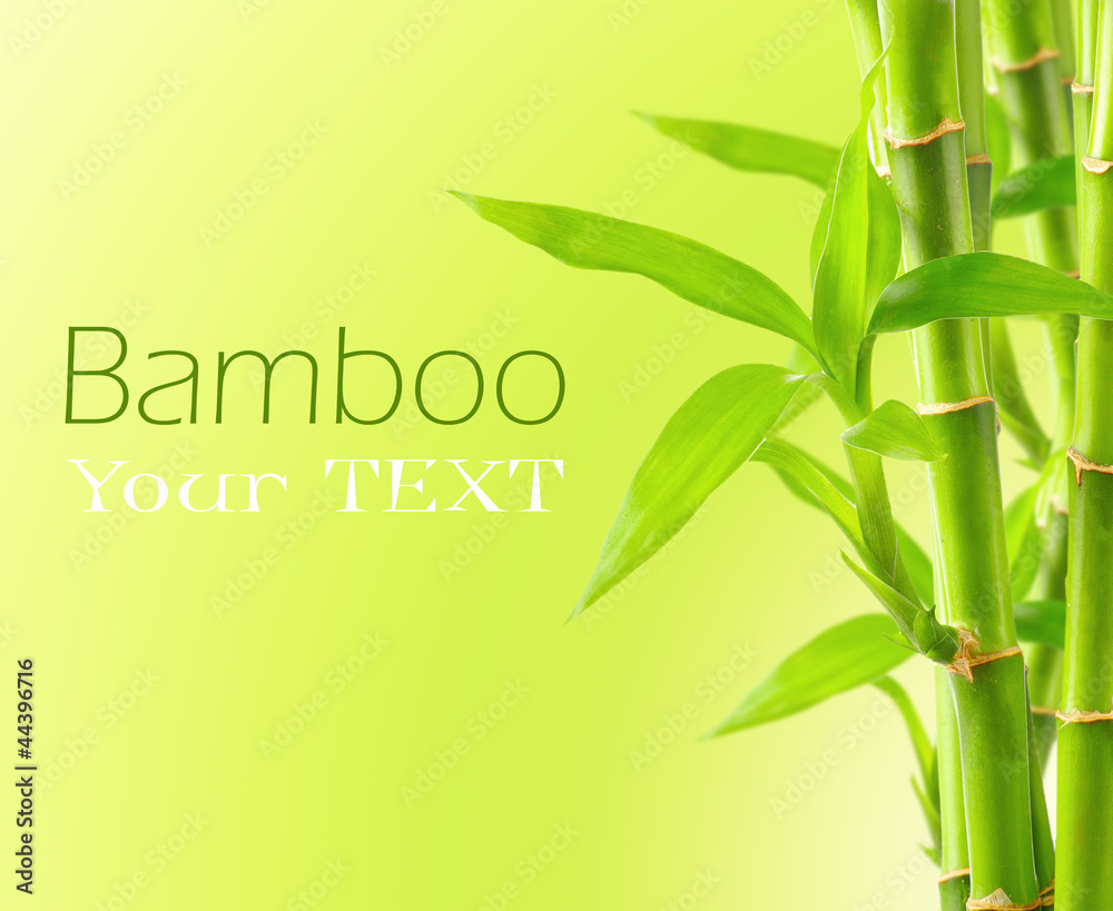 Naklejka premium Bamboo background with copy space
