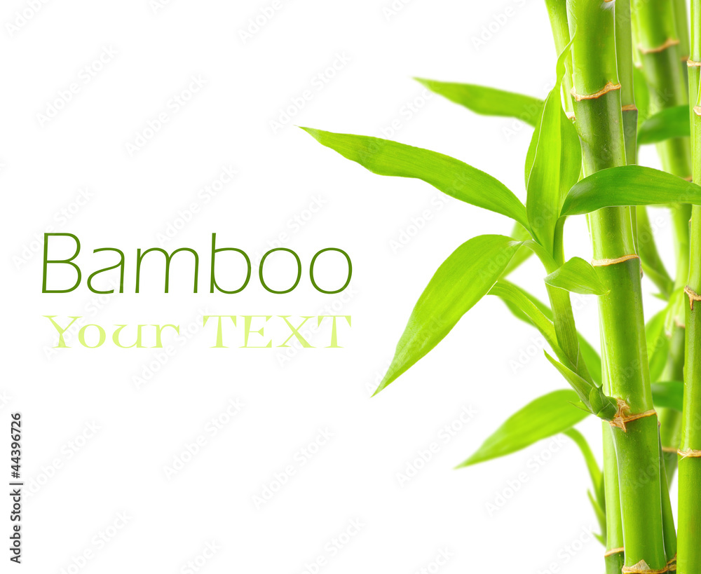 Naklejka premium Bamboo background with copy space