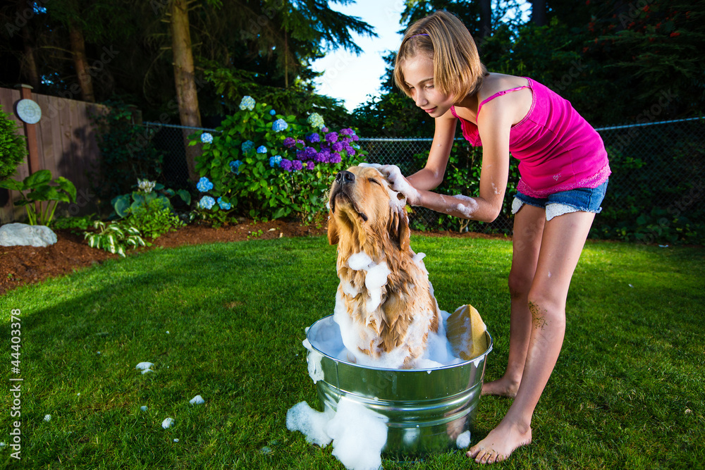 how-often-to-bathe-a-dog-guide-for-pet-parents-good-doggies-online