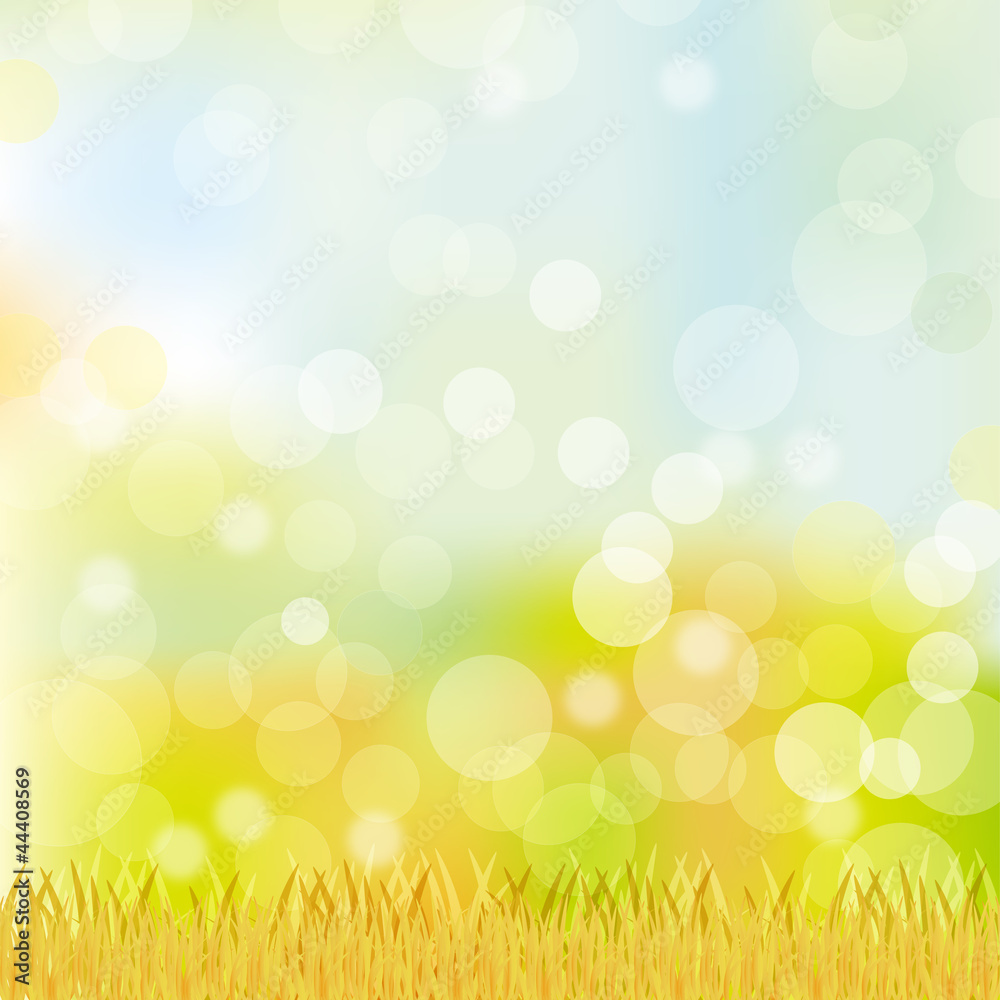 Obraz premium grass background