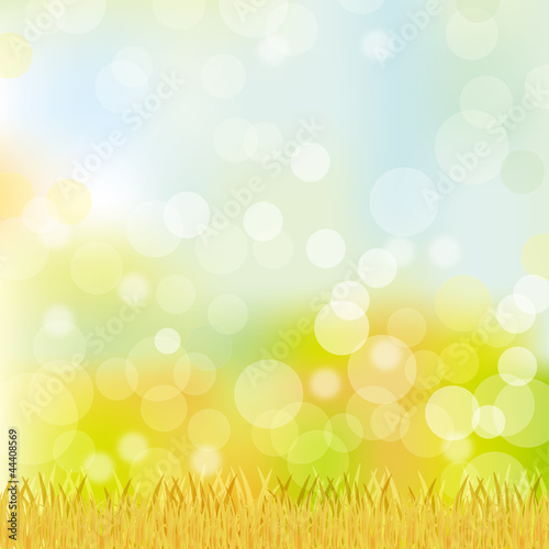 grass background