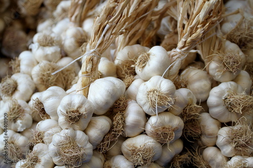 Garlic on market stand photo