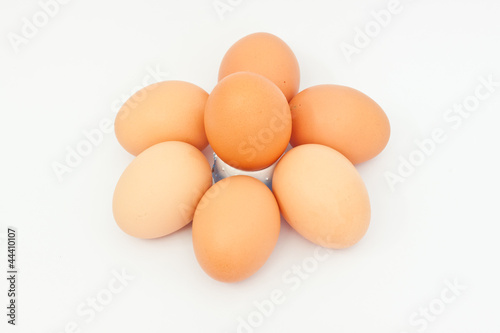 Many eggs