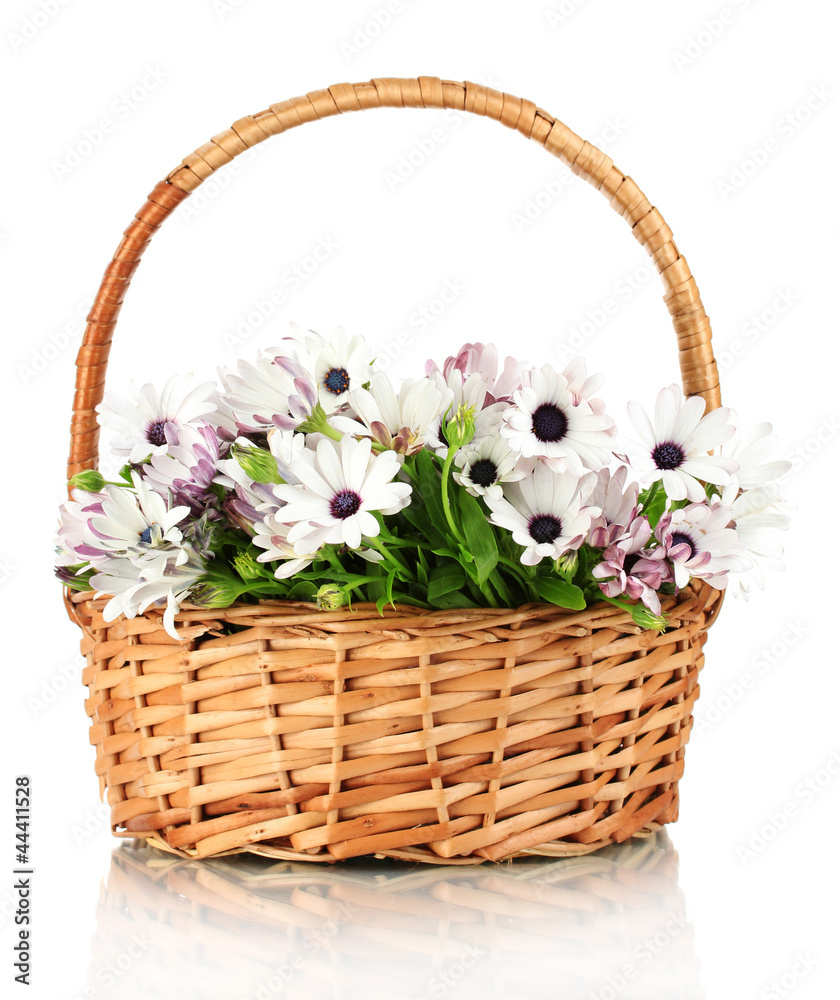 bouquet of beautiful summer flowers in basket, isolated on