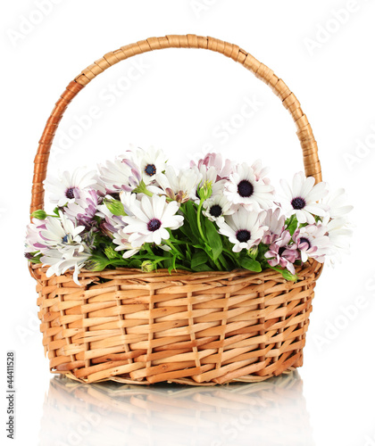 bouquet of beautiful summer flowers in basket, isolated on © Africa Studio