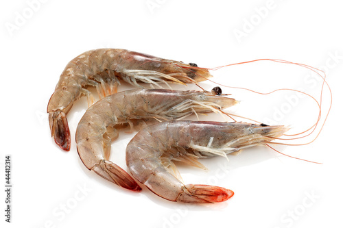 Three prawns crude