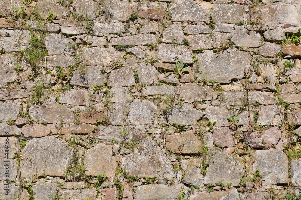 Stone background, wall in the garden Stone background, wall in the garden