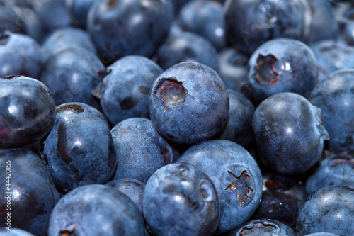  blueberries