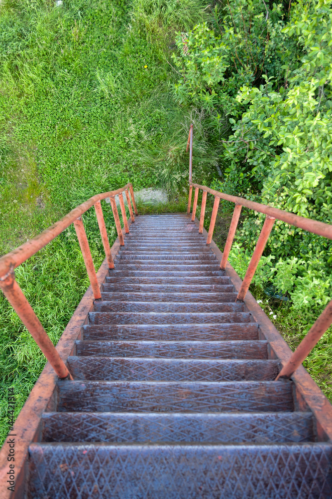 Descent from the rusty ladder