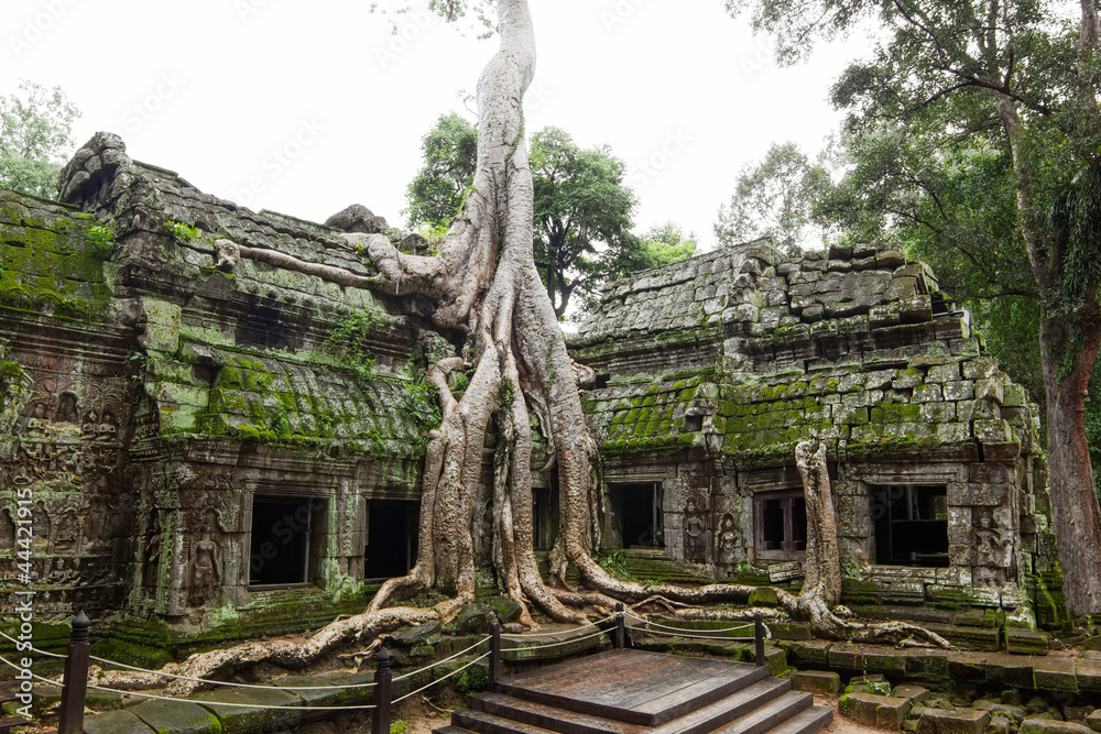 Ancient Ta Prohm or Rajavihara Temple at Angkor Ancient Ta Prohm or Rajavihara Temple at Angkor