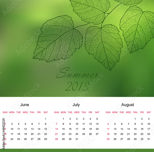 Bright summer season calender of 2013 new year
