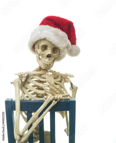 Skeleton with a Santa Hat