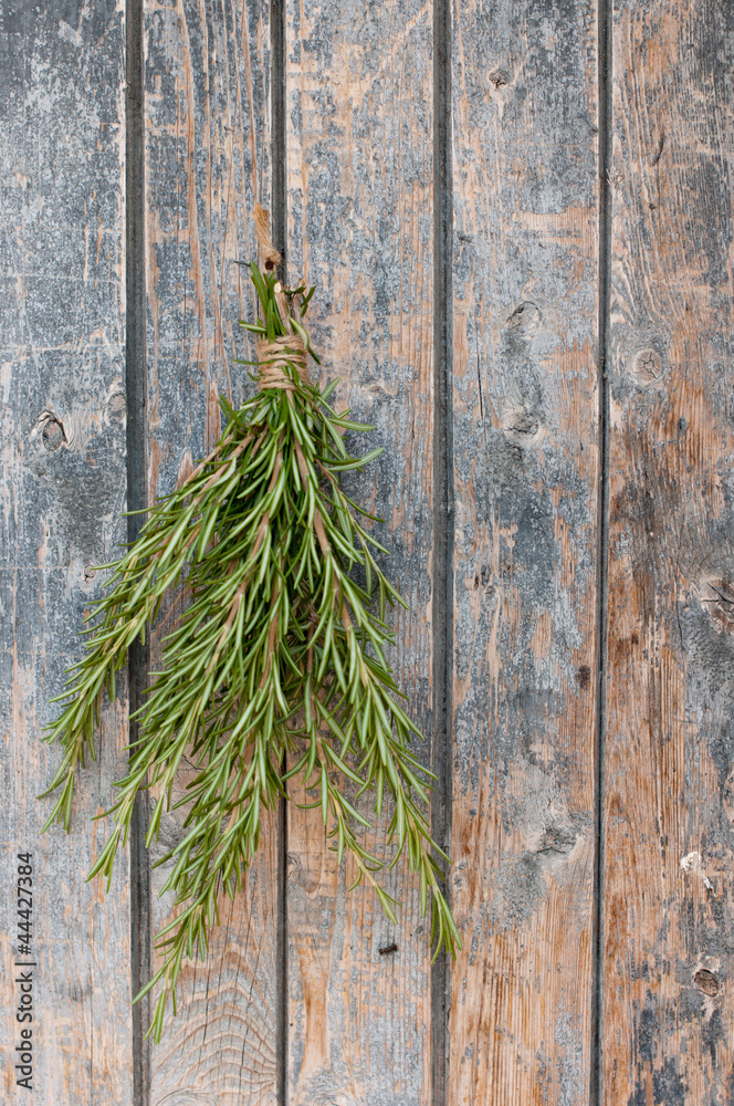 Naklejka premium Rosemary