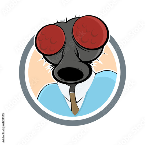 fly head