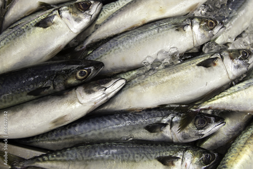 Stack of fish in market.