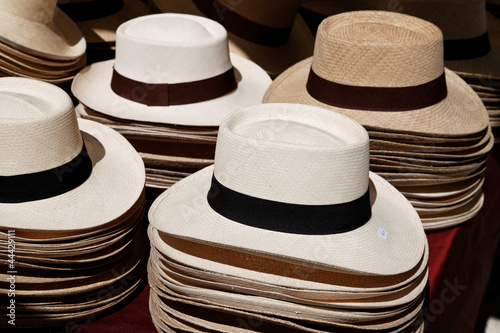 chapeaux panama