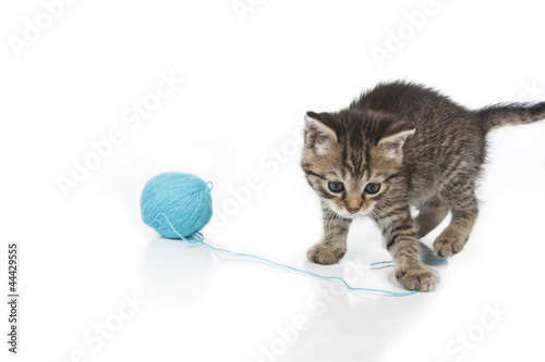 Cute grey kitten and ball of thread isolated on white background