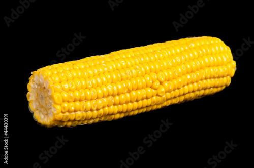 Boiled corn on a black background