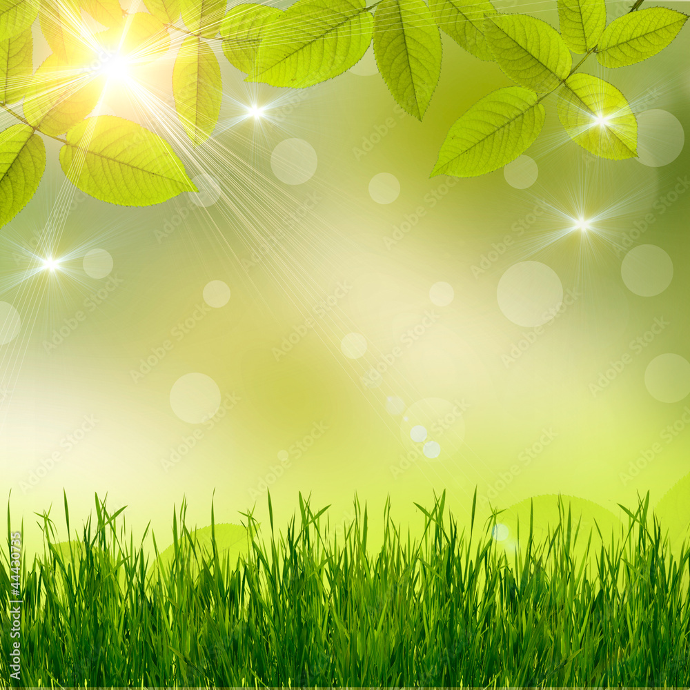 natural green background