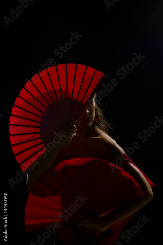Mysterious flamenco