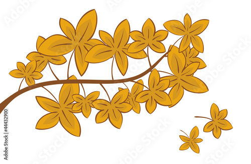 Autumn Leafs