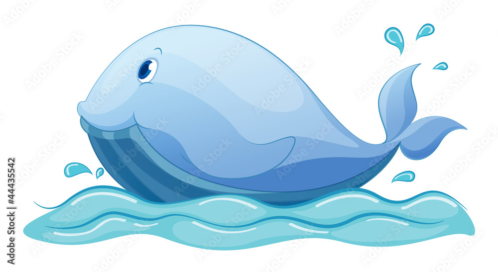 Naklejka premium whale