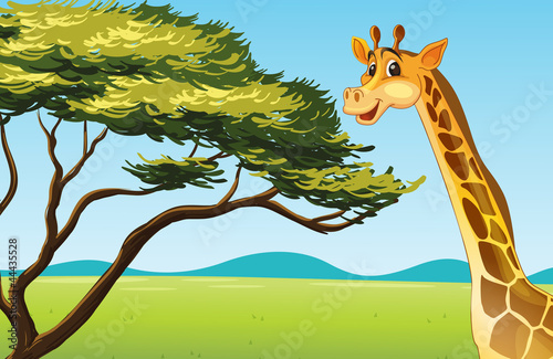 cartoon animal