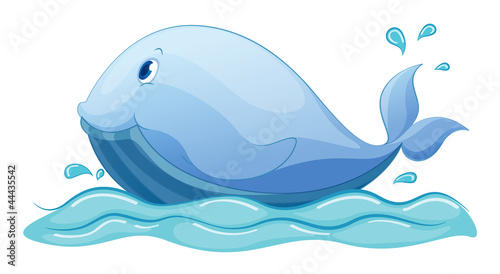 whale