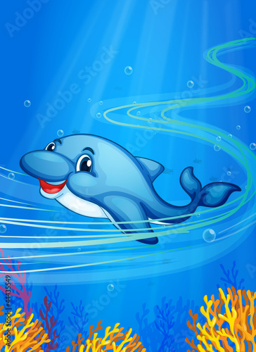 underwater dolphin